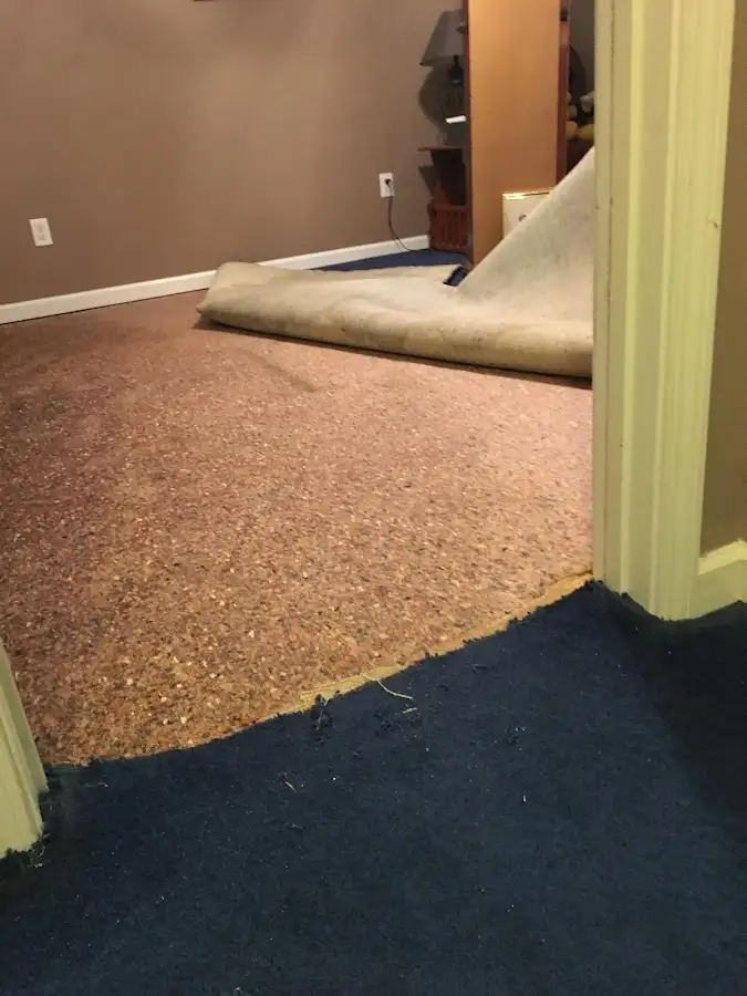 Carpet pad removal revealing water damage during Drying & Dehumidification in Alamo