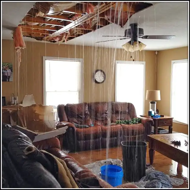 Water Damage Restoration services in Alamo, TX