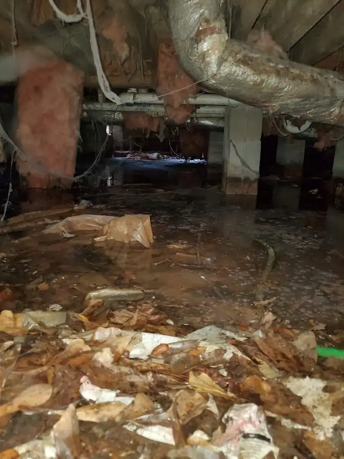 Crawl space flood assessment for Leak Detection & Repair in Alamo