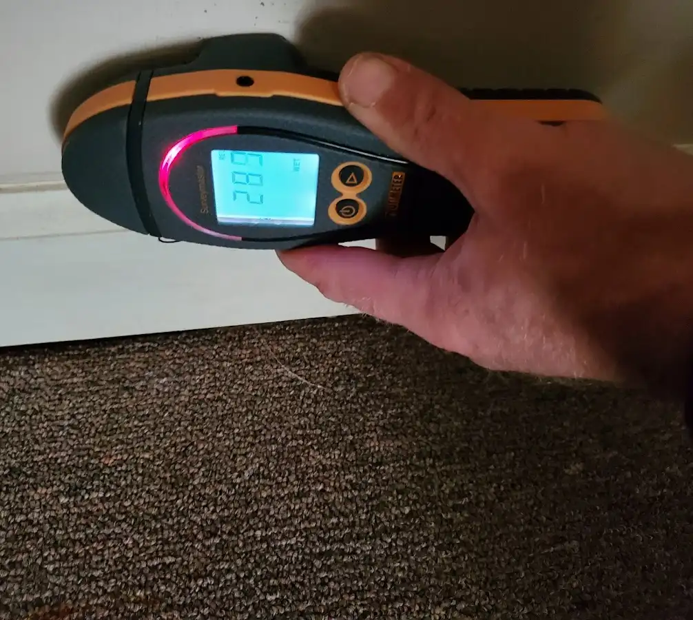 Moisture detection at baseboard during Storm Damage Restoration in Alamo